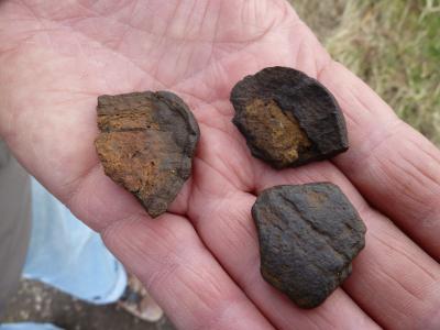 Limonite nodules found at Beeston Heath